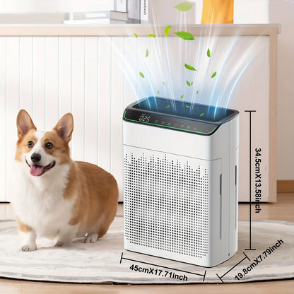 Luftreiniger HEPA 13